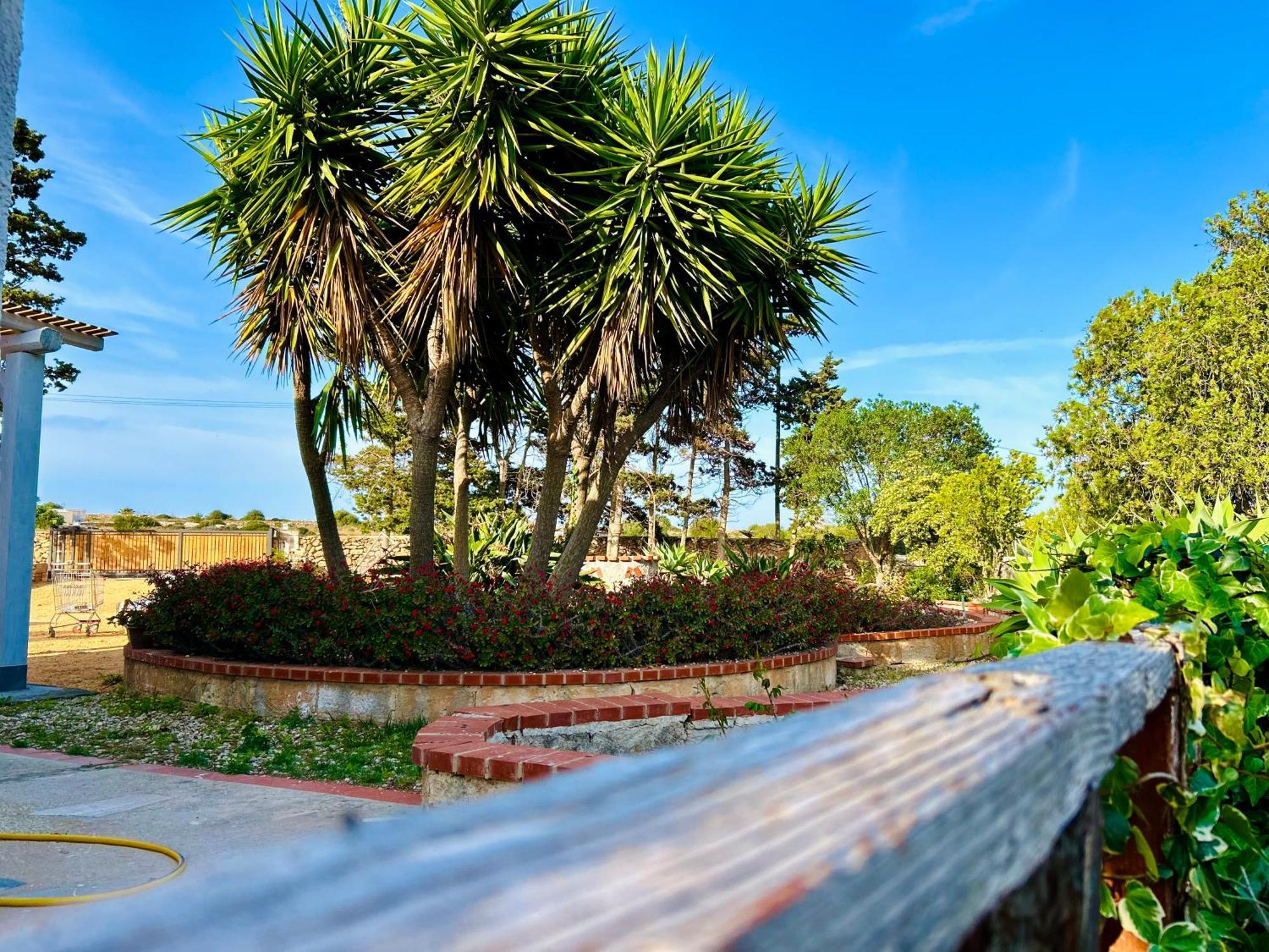 Villa Primavera Favignana Bagian luar foto